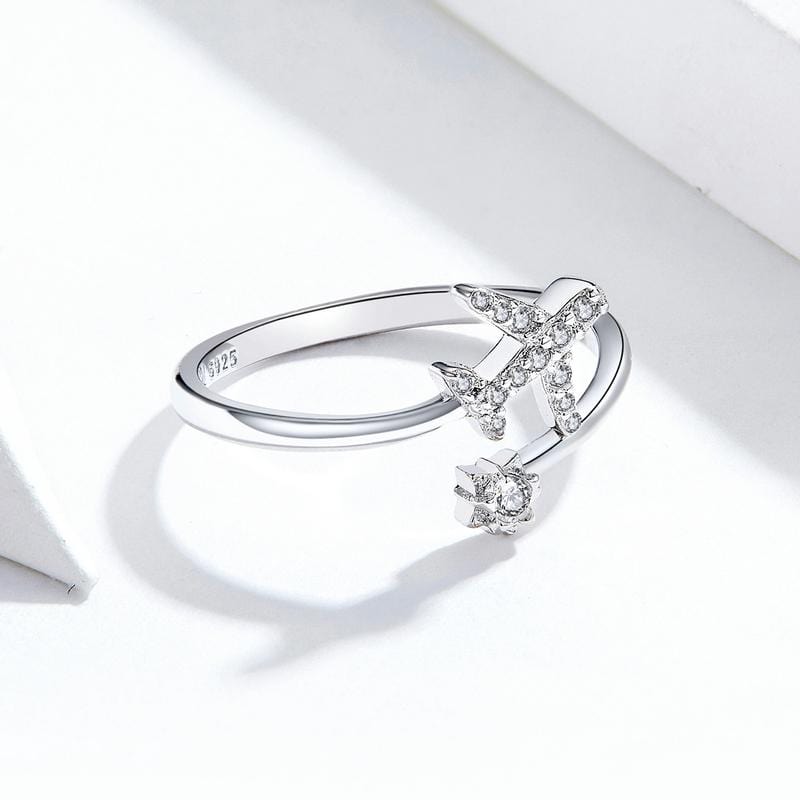 Aeroplane Ring - The Silver Goose SA