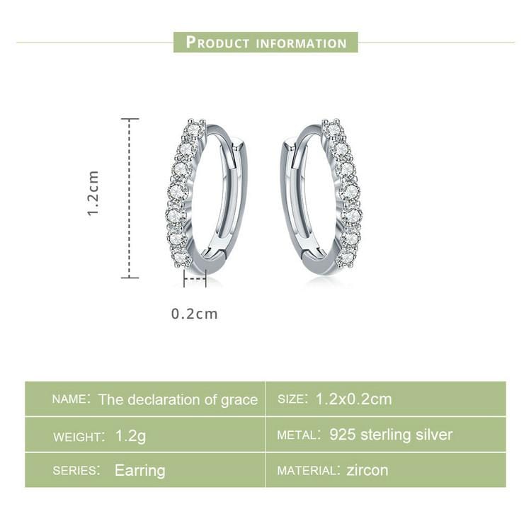 Dazzling Round Hoop Earrings - The Silver Goose SA