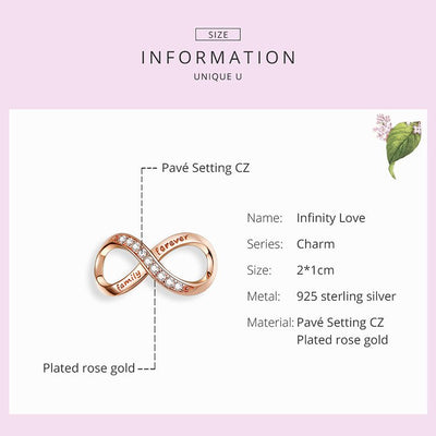 Infinity Rose Gold Charm - The Silver Goose SA