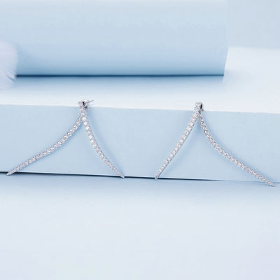 Long Tassel Two Piece Earrings - The Silver Goose SA