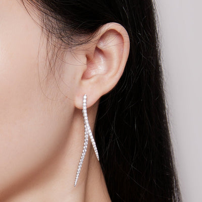 Long Tassel Two Piece Earrings - The Silver Goose SA